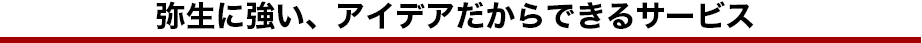 弥生に強い、アイデアだからできるサービス